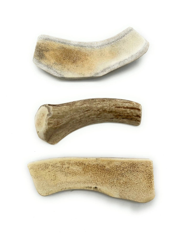 Deer Antler Split-- Medium Deer Antler- Pet Chew- All Natural North American Shed Antler
