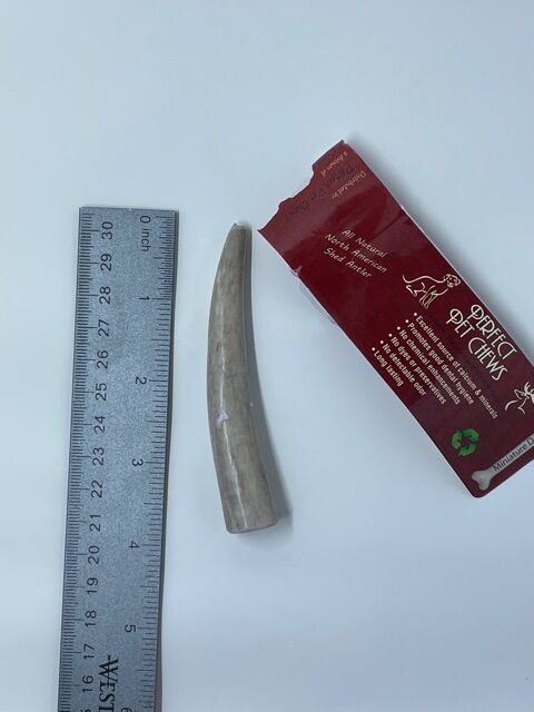 Miniature Deer Antler- Pet Chew- All Natural North American Shed Antler