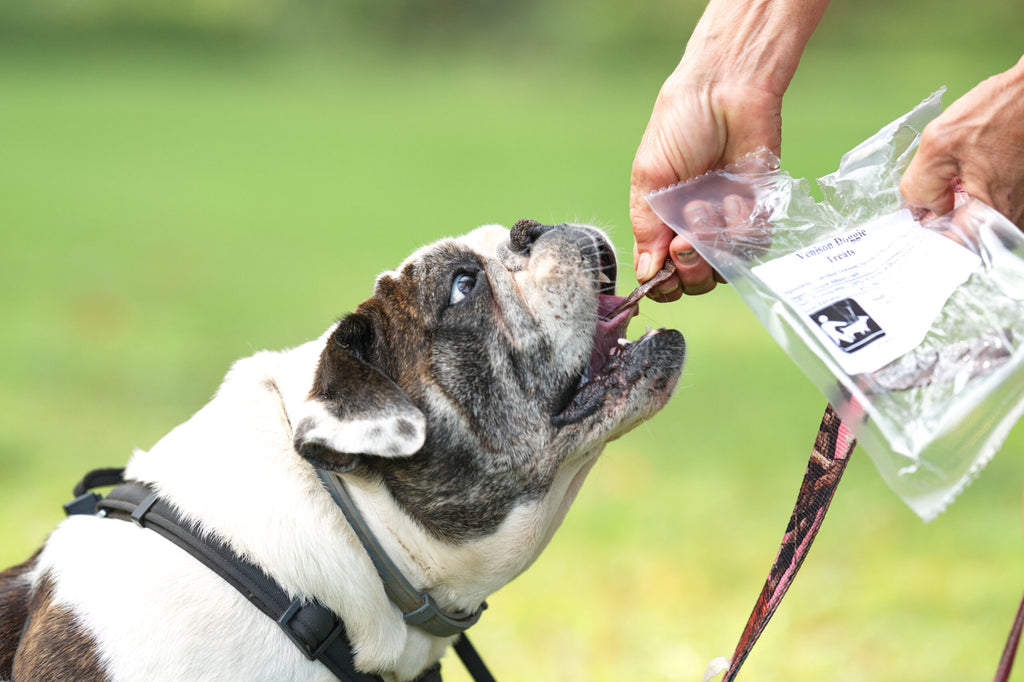 Venison dog outlet treats